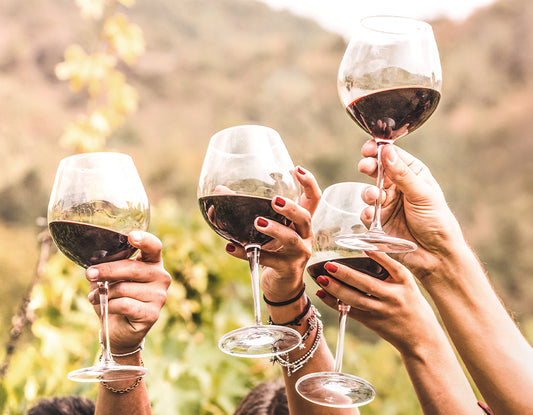 Los 15 Beneficios del Vino Tinto para la salud