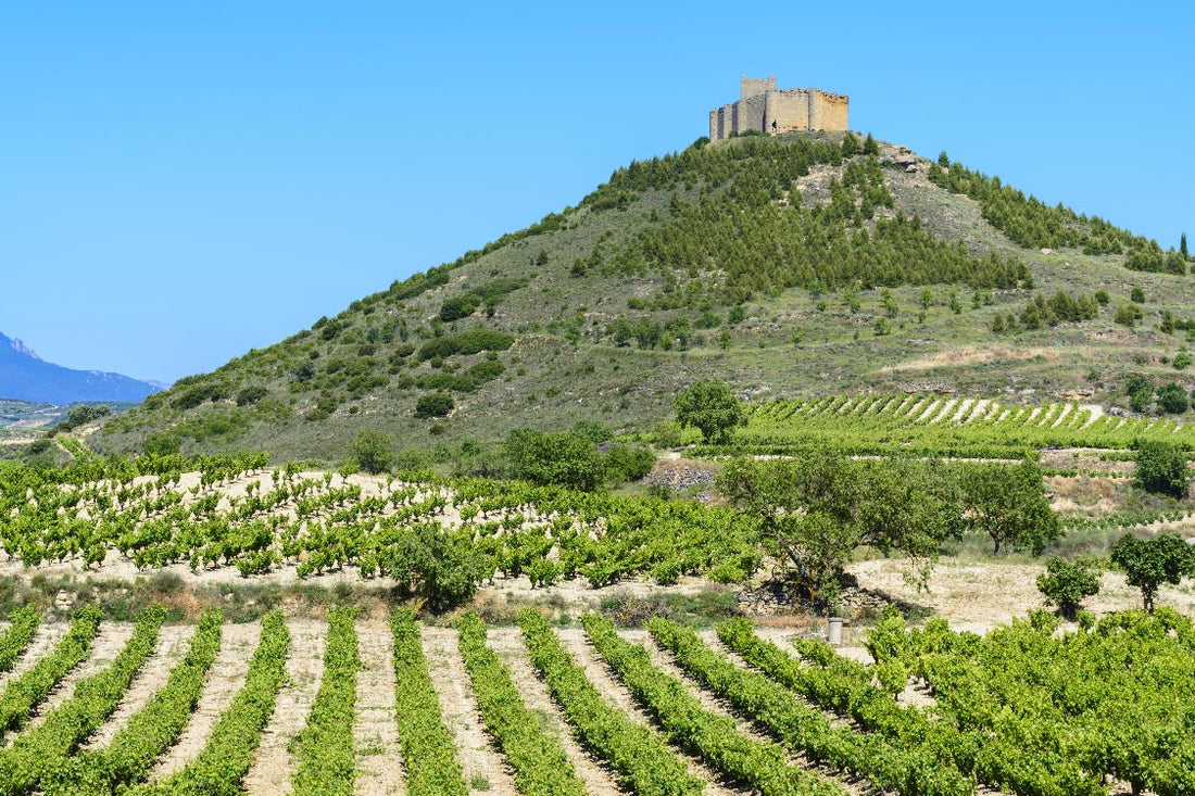 Enoturismo en La Rioja