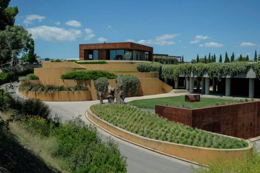 Bodega Torres: Cinco Generaciones dedicadas al vino