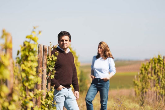 EL LAGAR DE MOHA : BODEGA FAMILIAR Y ECOLÓGICA EN RUEDA