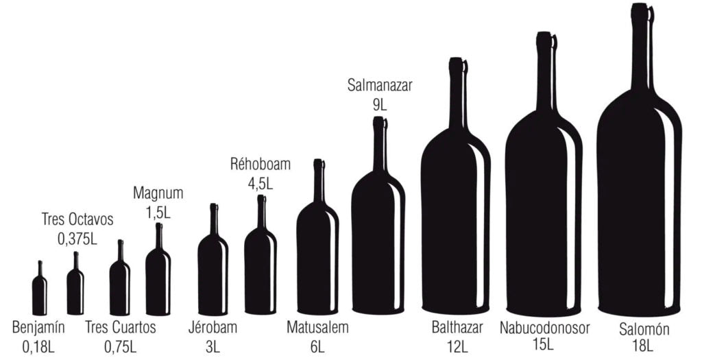 Tamaños y Formas de las Botellas de Vino