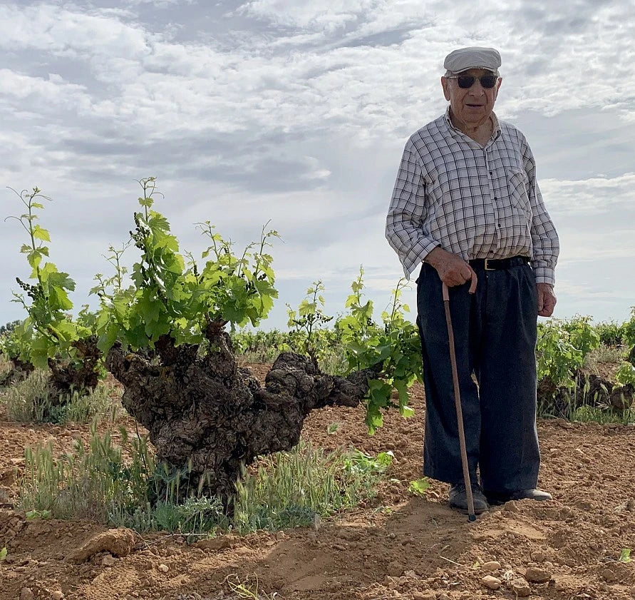 Sotero Pintado: Guardianes de las Joyas Vitivinícolas de Benegiles