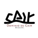 Dominio de Cair