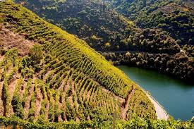 Ribeira Sacra