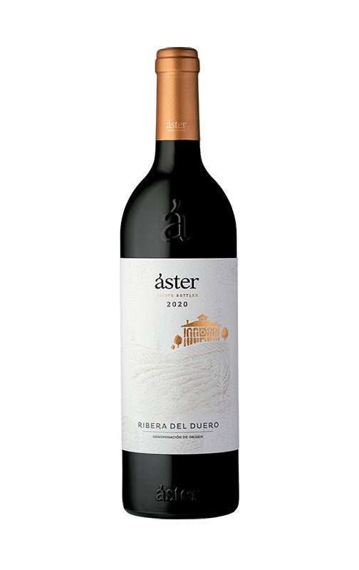 Bodega Aster