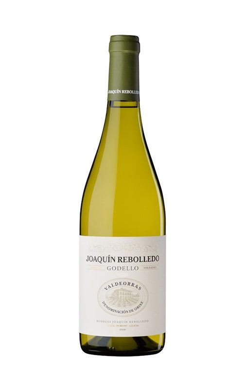 Joaquín Rebolledo Godello 2023