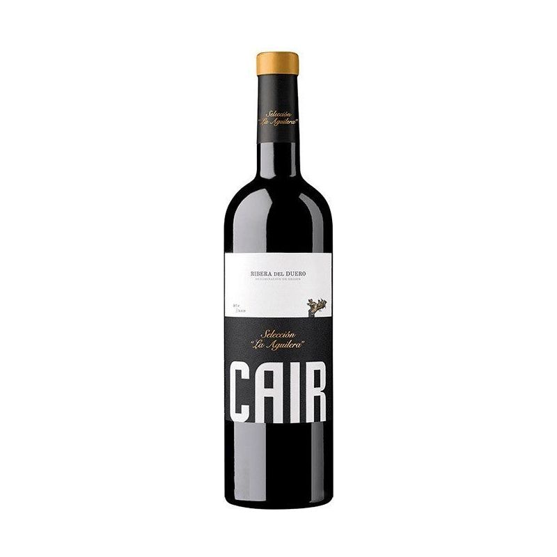 Cair Selección La Aguilera 2019