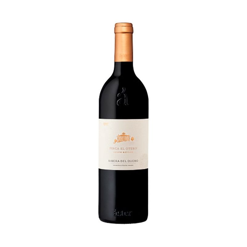 Áster Finca el Otero 2019