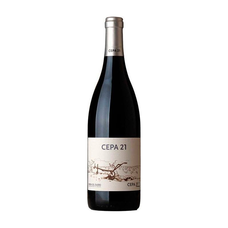 Bodegas Cepa 21